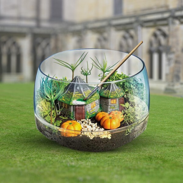 Harry Potter Hagrid's Hut Terrarium