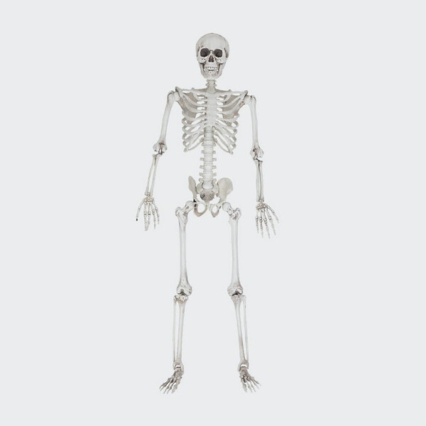 Mikamax Life Size Skeleton