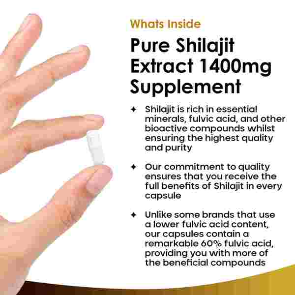 New Leaf Shilajit Capsules 1400mg + 60% Fulvic Acid 120 Caps