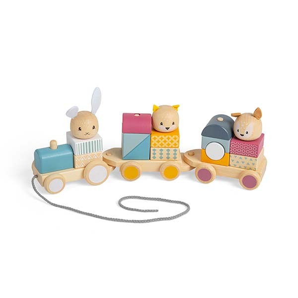 Bigjigs Toys Wooden Activity Pull Along Train