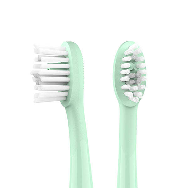 Ordo Sonic Brush Head Mint Green Sage 4pcs