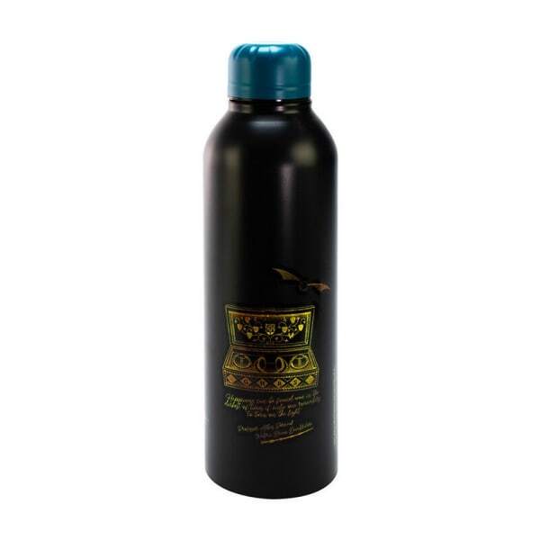 Harry Potter Steel 700ml Water Bottle