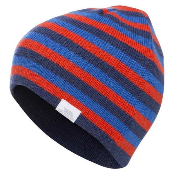 Trespass Kids Reagan Beanie Hat (2/4 Years)