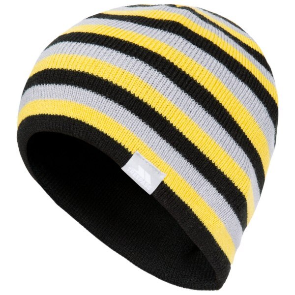 Trespass Kids Reagan Beanie Hat (2/4 Years)