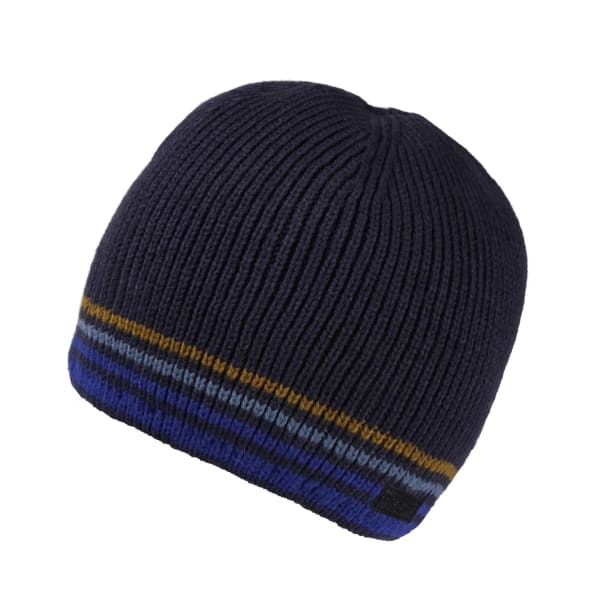 Regatta Mens Balton IV Striped Beanie