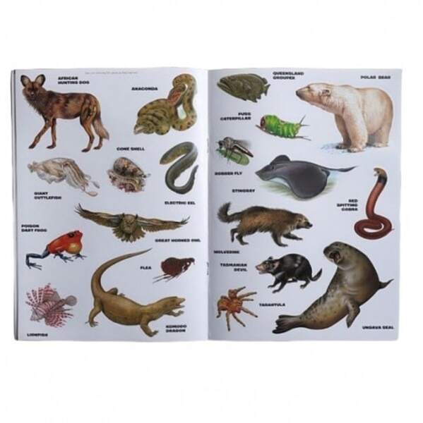 Deadly Creatures Reusable Stickers (Pack of 20)