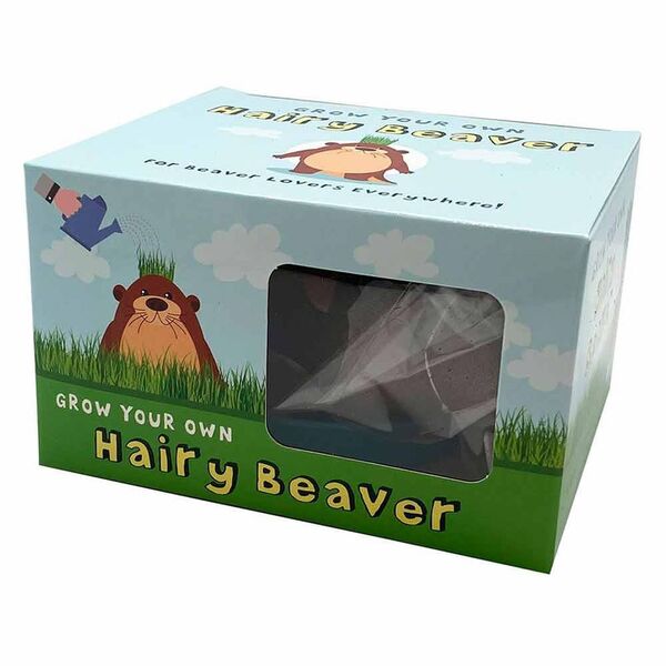 Prezzybox Grow a Hairy Beaver