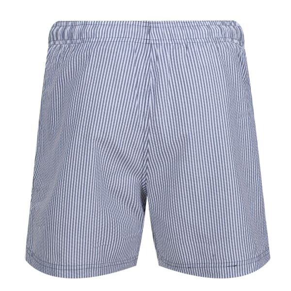 Regatta Mens Loras Stripe Swim Shorts (XL)