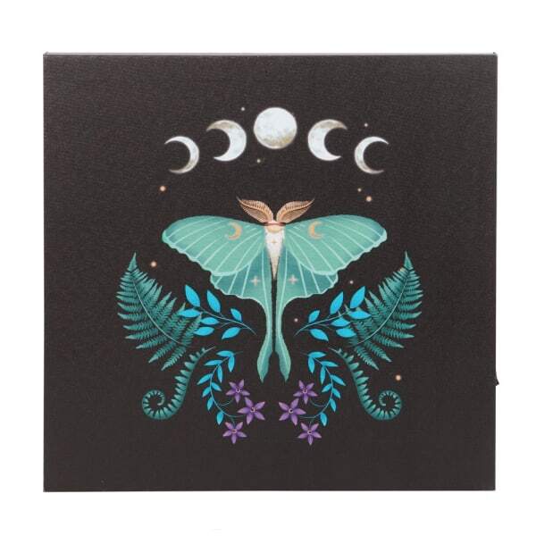 Something Different Canvas Luna Moth Light Up Canvas