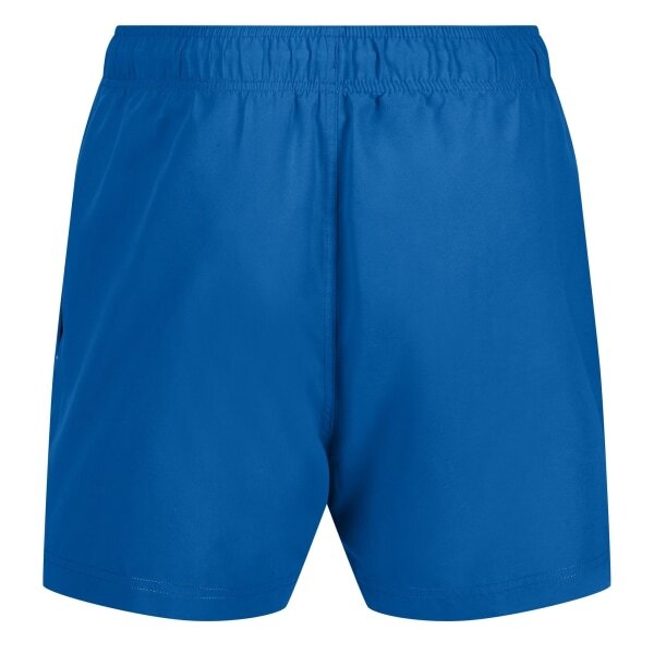 Regatta Mens Mawson II Swim Shorts (3XL)