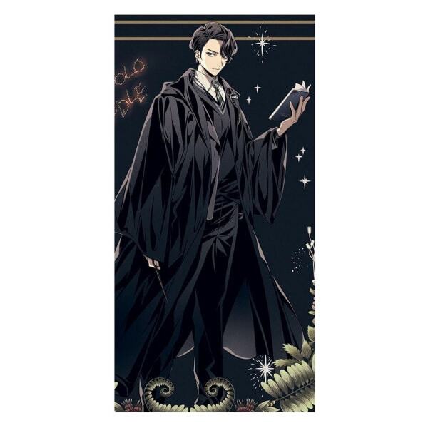 Harry Potter Tom Marvolo Riddle Print (40cm x 30cm)