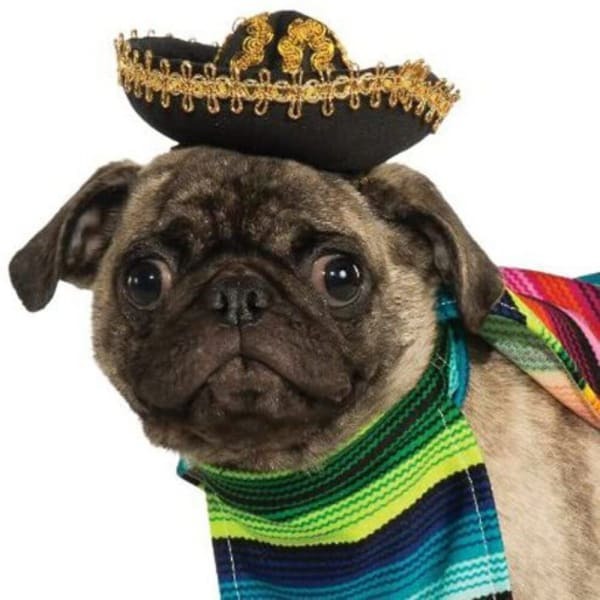 Bristol Novelty Mexican Dog Costume Set (XL)