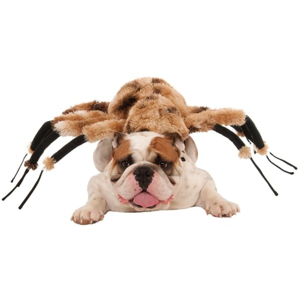 Bristol Novelty Spider Dog Costume (XL)