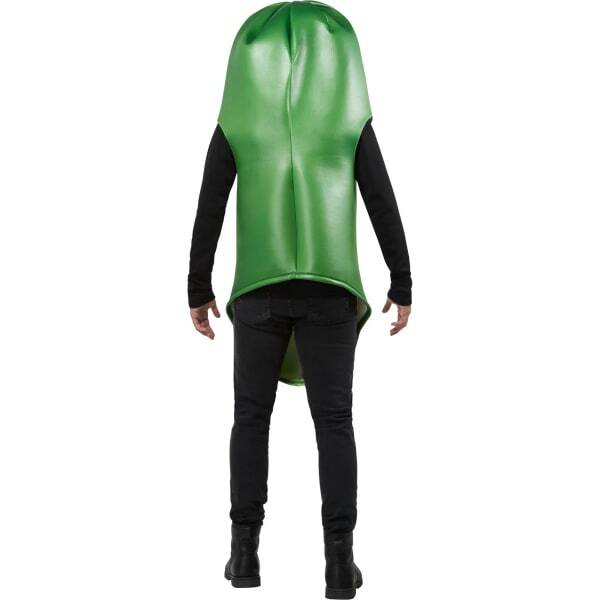 Rick And Morty Adult Pickle Rick Costume (Standard)