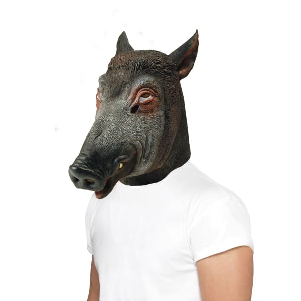 Bristol Novelty Boar Mask