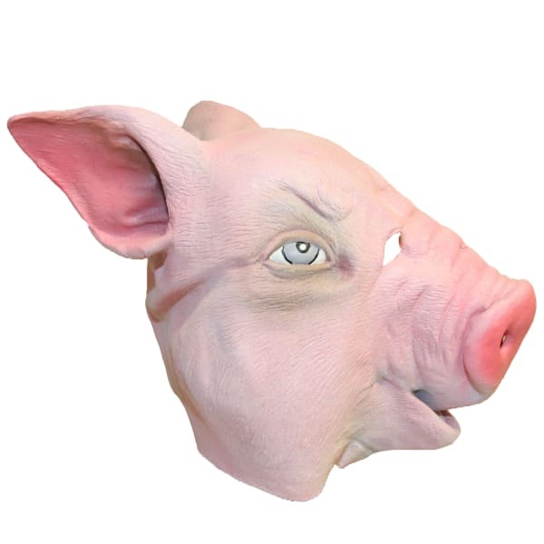 Bristol Novelty Unisex Pig Rubber Head Mask