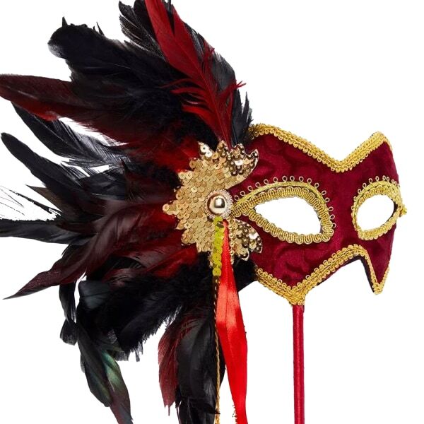 Bristol Novelty Womens Stick Mask And Feathers