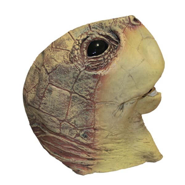 Bristol Novelty Unisex Turtle Mask