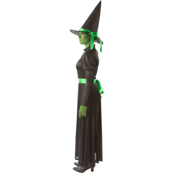 Orion Costumes Adult Wicked Green West Witch Medium