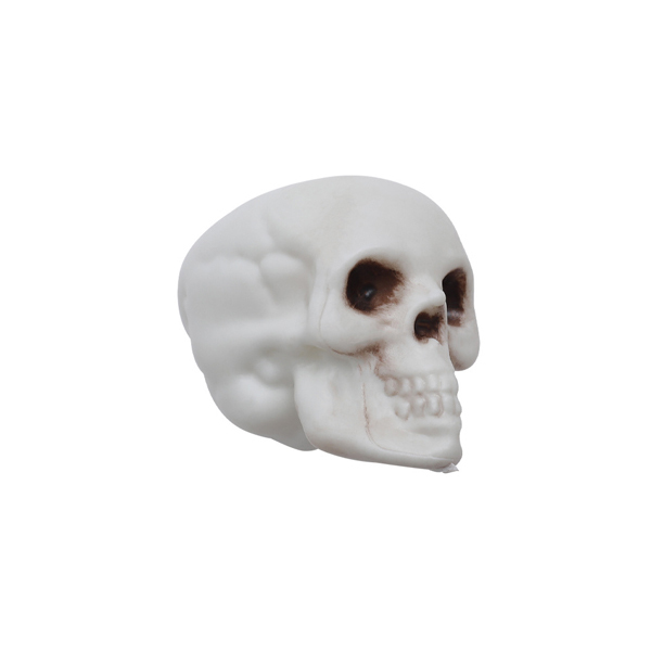 Livingandhome Set of 12 Halloween Skull Ornament