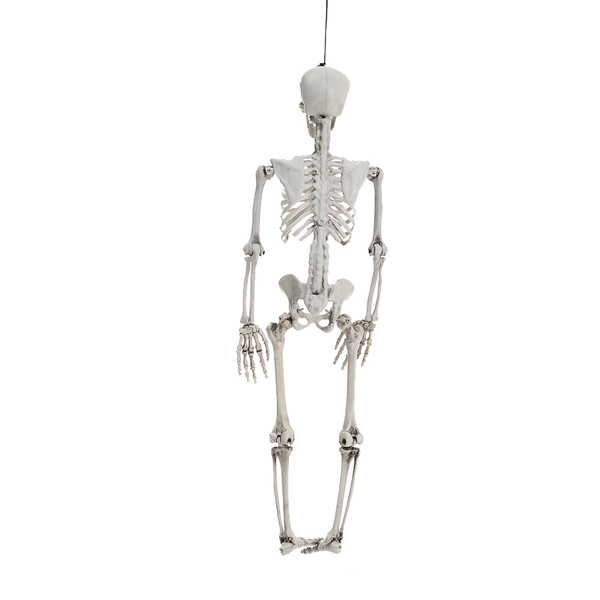 Livingandhome Halloween Full Body Skeleton Prop Decoration