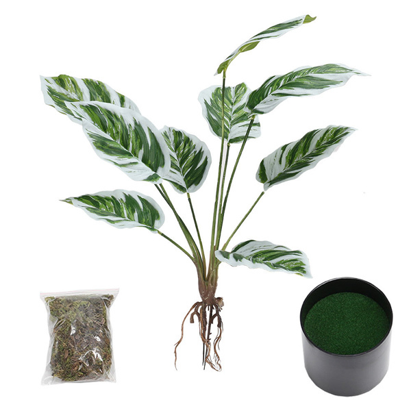 Livingandhome Potted Artificial Calathea White Fusion