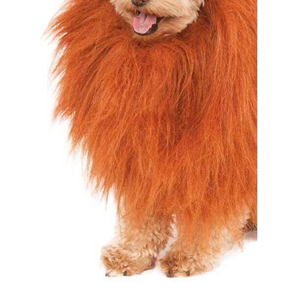 Bristol Novelty Lion´s Mane Dog Costume