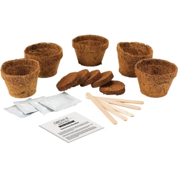 Prezzybox Grow Your Own Bonsai Tree