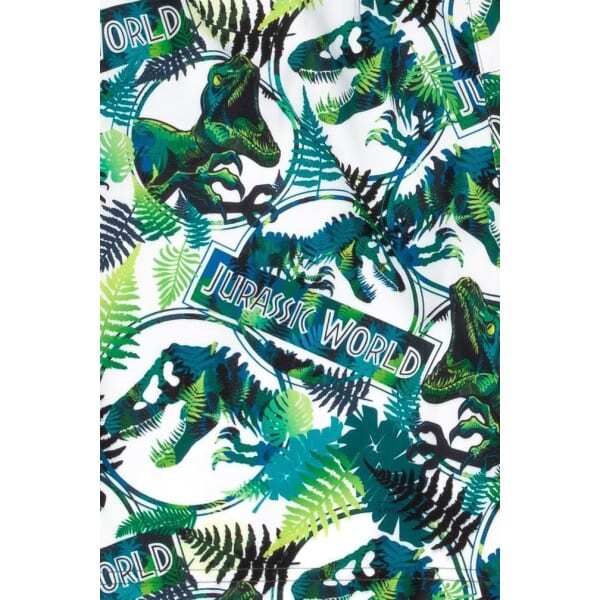 Jurassic World Boys Dinosaur Swim Shorts (8-9 Years)