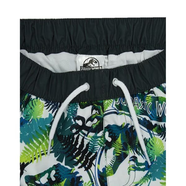 Jurassic World Boys Dinosaur Swim Shorts (5-6 Years)