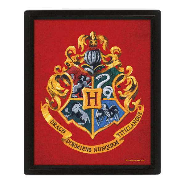 Harry Potter Gryffindor 3D Framed Picture (25cm x 20cm)