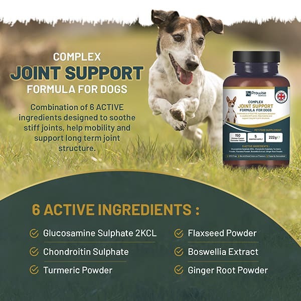 Prowise Dog Joint Support Complex I 150 Chewable Tablets