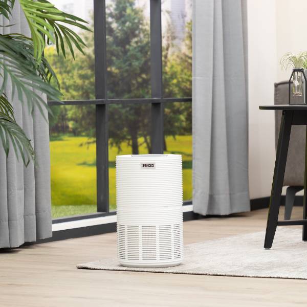 Princess Smart Air Purifier 160