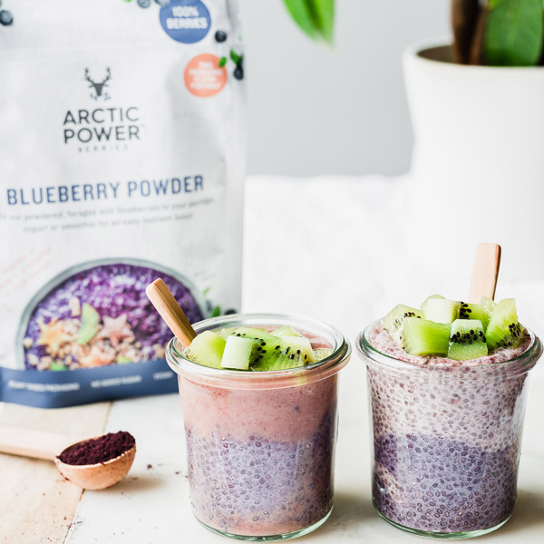 Arctic Power Berries 4 x Blueberry 70g Bundle