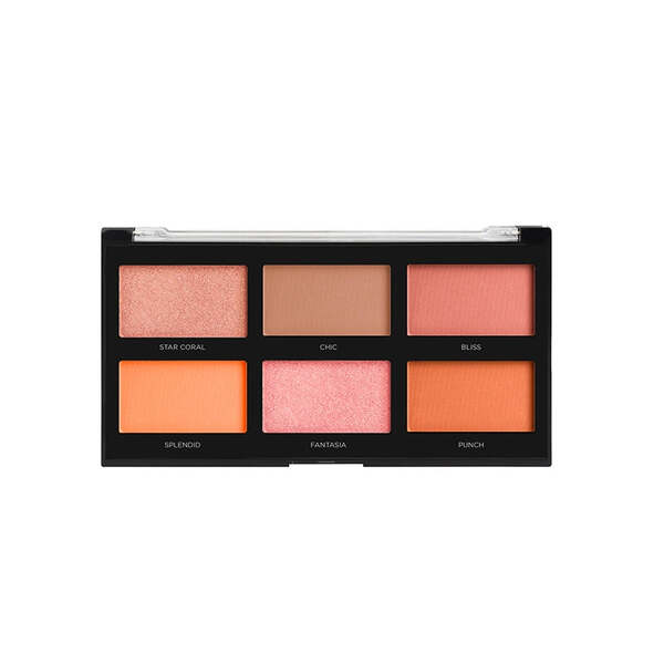 Profusion Cosmetics Blush III | 6 Shade Blush Palette