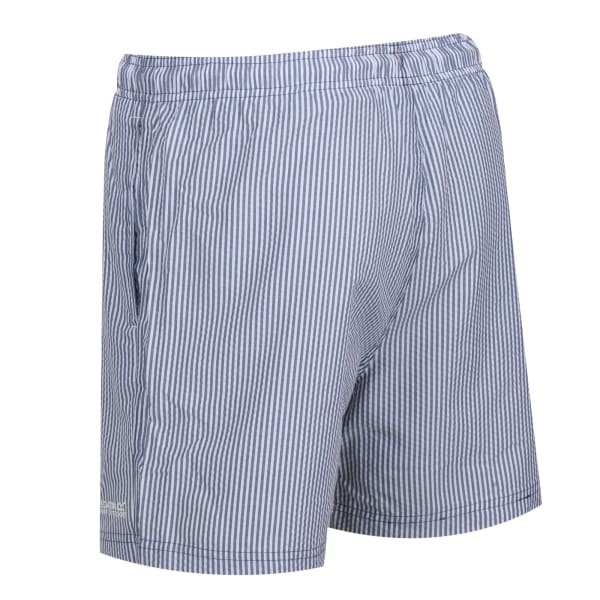 Regatta Mens Loras Stripe Swim Shorts (XL)