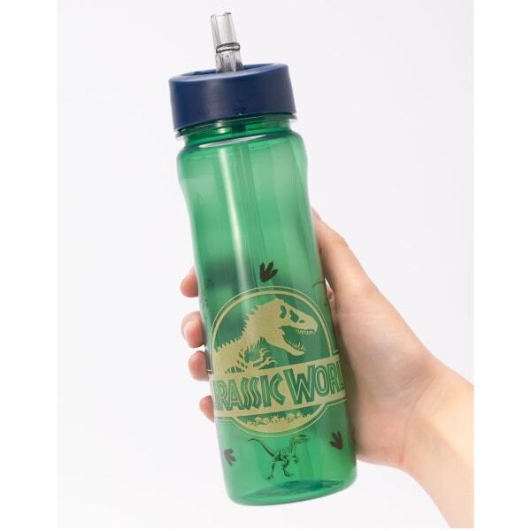 Jurassic World Kids Lunch Bag And Bottle Set