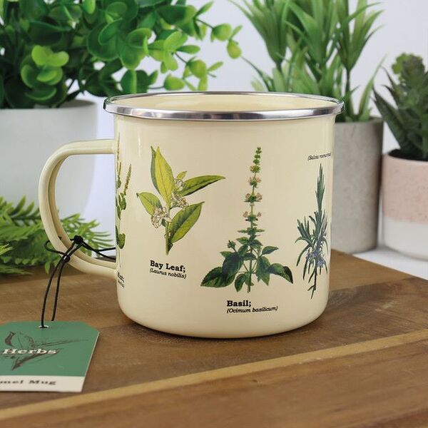 Prezzybox Ecologie Herbs Plant Pot