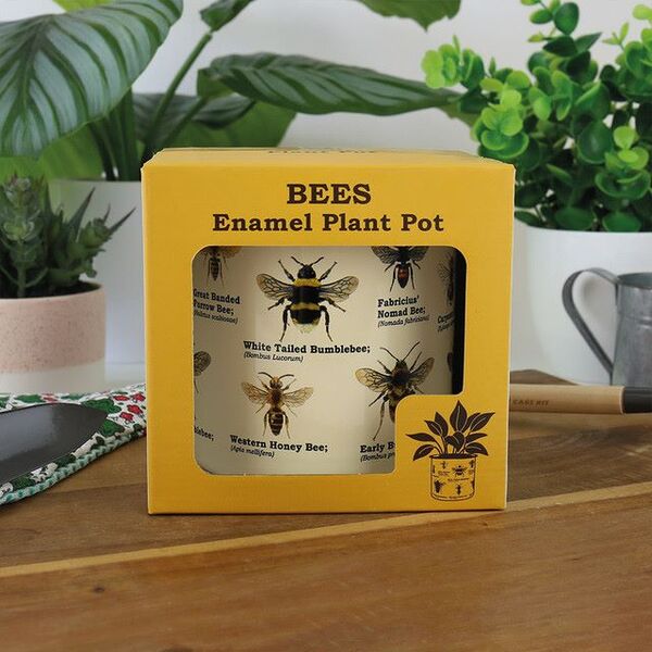 Prezzybox Ecologie Bees Plant Pot