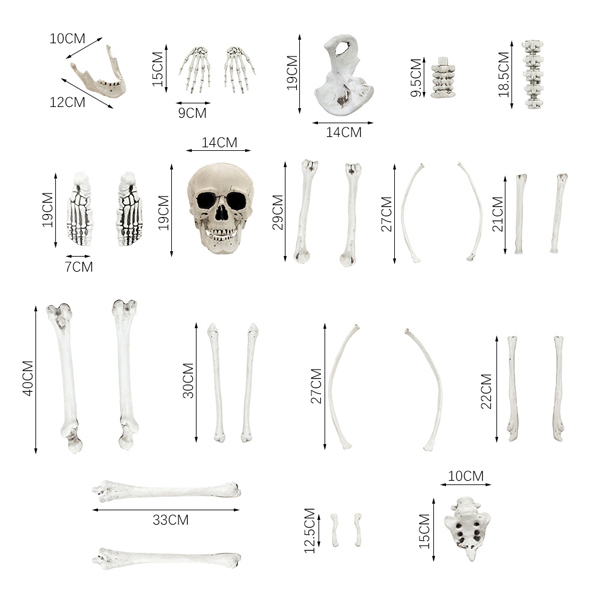 Livingandhome 28 Pcs Halloween Skeleton Decoration Kit