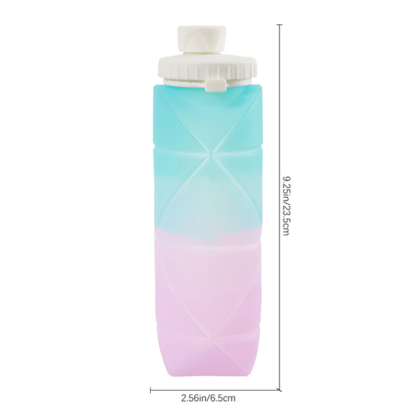 Livingandhome Collapsible Water Bottle - Blue and Purple