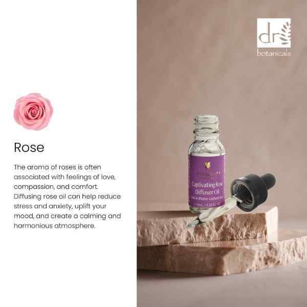 Dr Botanicals Captivating Rose Diffuser Oil Duo 2 x 10ml