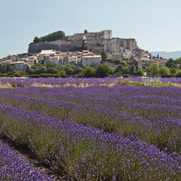 Durance Room Spray Lavender 100ml