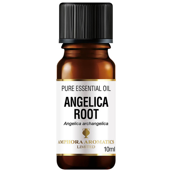 Amphora Aromatics Angelica Root Essential Oil 10ml