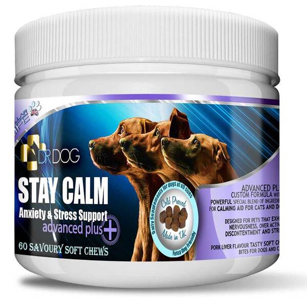 DR DOG Stay Calm Anxiety Calming Supplement