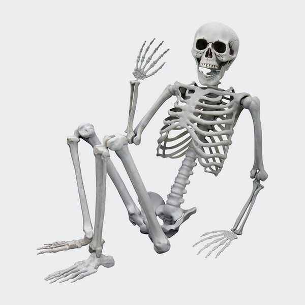 Mikamax Life Size Skeleton