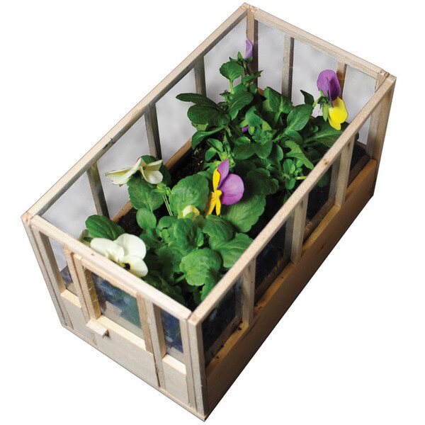 Prezzybox Miniature Indoor Greenhouse