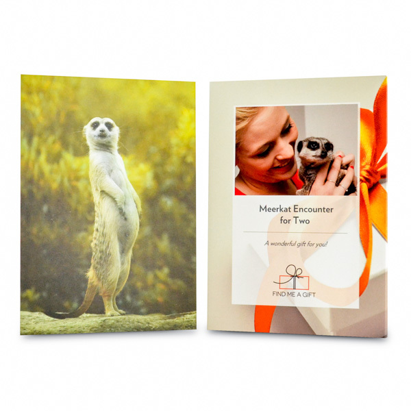 Find Me a Gift Meerkat Encounter for Two Gift Experience