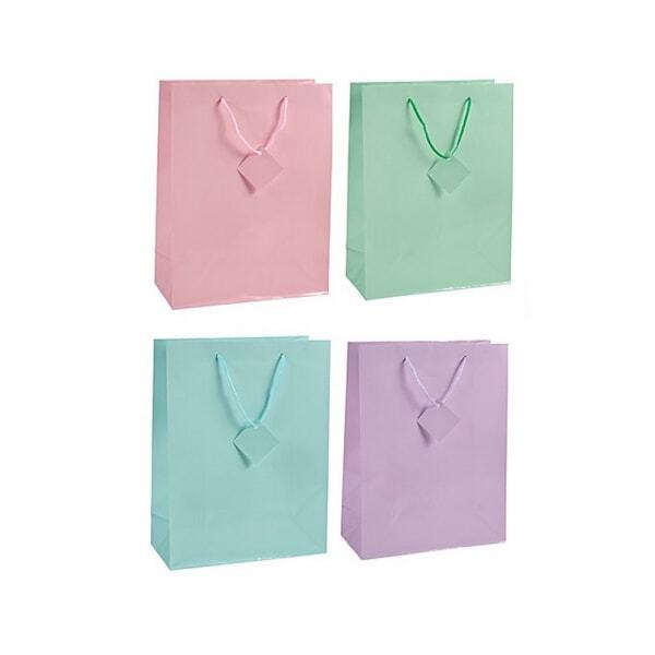 Unique Party Plain Paper Gift Bag (Pack of 4)