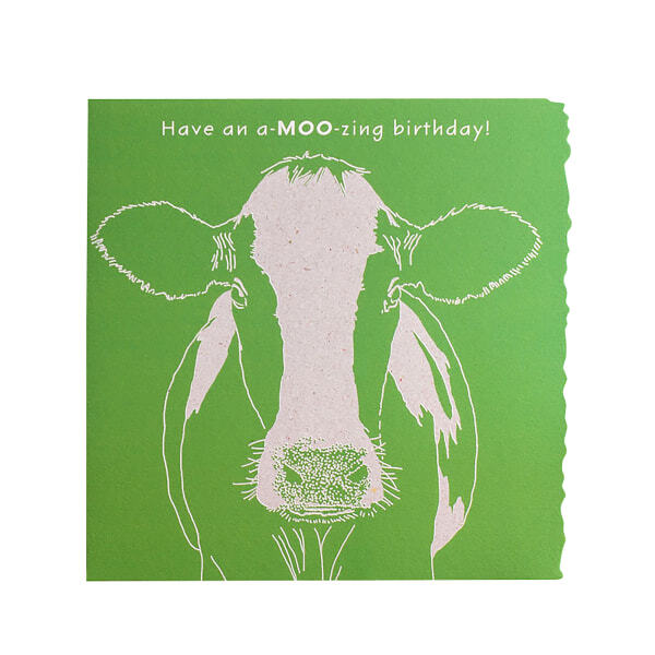 Deckled Edge Colour Block Animal Card